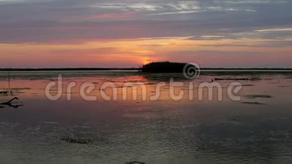 多瑙河三角洲湖泊上美丽的日出视频的预览图