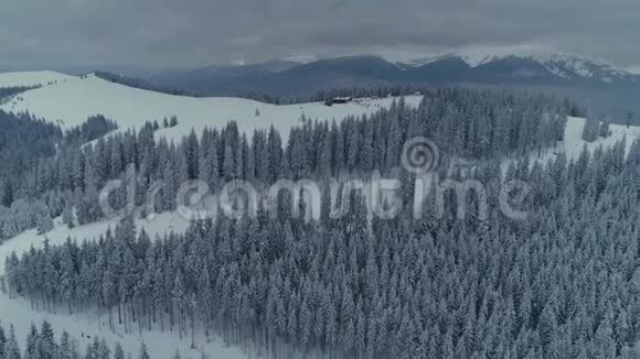 冬季雪松森林无人机在山上飞行视频的预览图