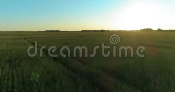 夏季阳光充足的夜晚低空飞行在乡村夏田之上有着无尽的黄色景观地平线上的太阳视频的预览图