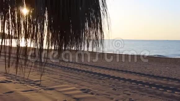 海滩伞视频的预览图