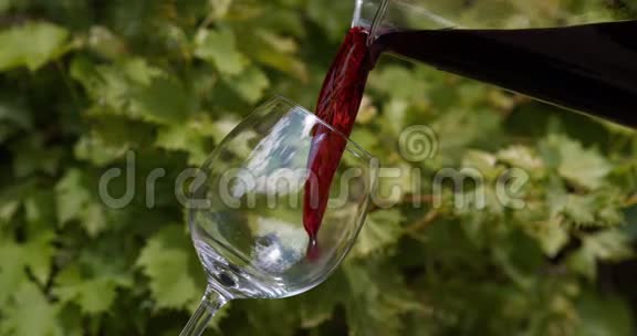 红酒被倒进玻璃里视频的预览图