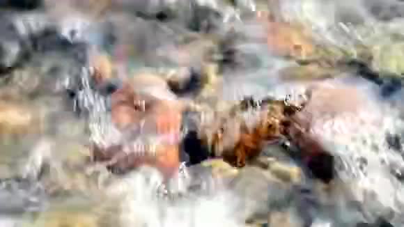 波罗的海冲浪中的琥珀视频的预览图