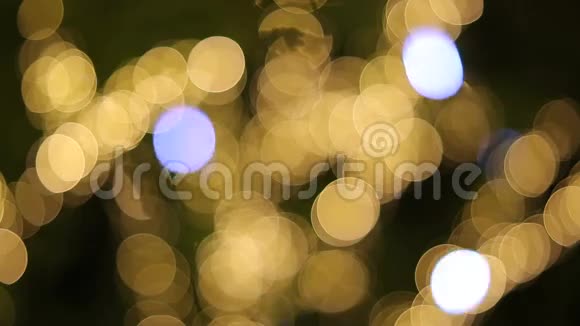 树枝上的圣诞照明视频的预览图