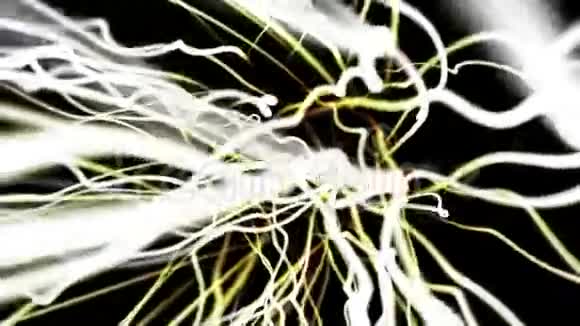 动态光链运动视频的预览图