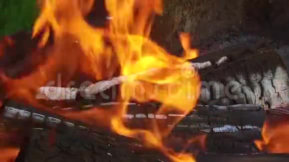 在室外燃烧的木柴视频的预览图