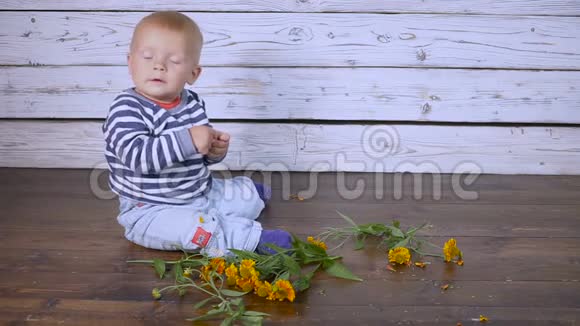 带着黄花的宝宝视频的预览图