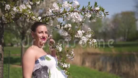 年轻的旅行者孕妇在公园里享受闲暇时光樱花盛开穿着樱花树视频的预览图