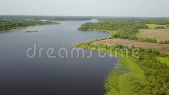扎罗诺沃湖的野生性质视频的预览图