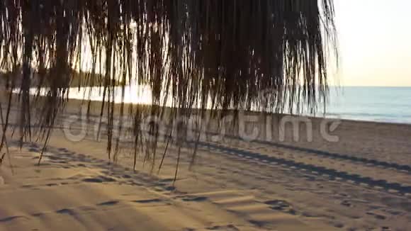 海滩伞视频的预览图