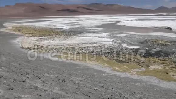 智利阿塔卡马沙漠的泻湖山脉和盐滩景观视频的预览图
