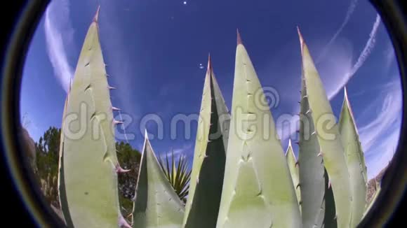 波雷戈沙漠加州AGAV和天空射击混合视频的预览图
