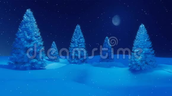 白雪皑皑的冬季在雪夜4K视频的预览图