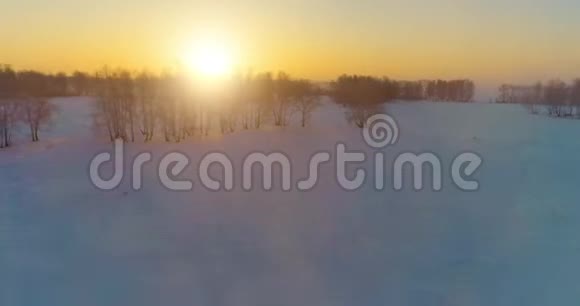 无人驾驶飞机观看寒冷的冬季景观北极的田野覆盖着霜雪的树木和清晨的阳光视频的预览图