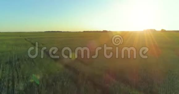 夏季阳光充足的夜晚低空飞行在乡村夏田之上有着无尽的黄色景观地平线上的太阳视频的预览图