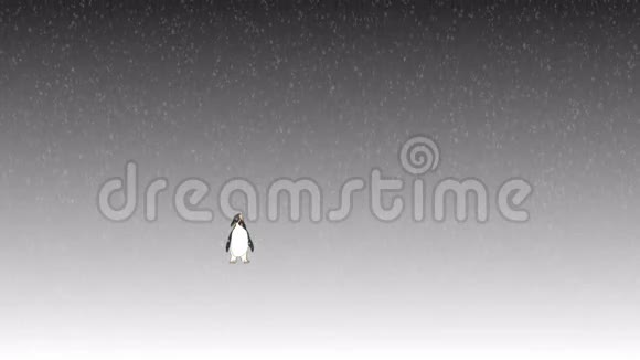 视频动画企鹅走在雪地里视频的预览图