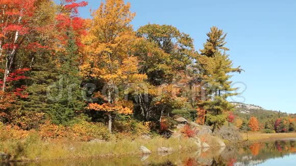 池塘和秋树倒映在平静的水面上视频的预览图