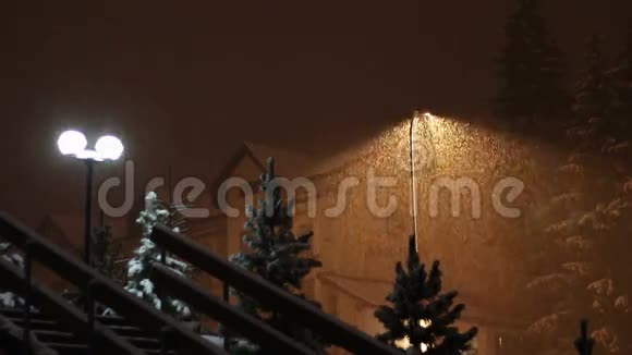 晚上在灯柱的背景下下雪视频的预览图