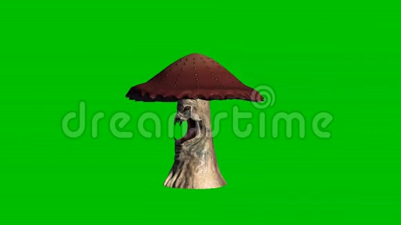 愤怒的棕色蘑菇环顾四周没有阴影绿色的屏幕视频的预览图
