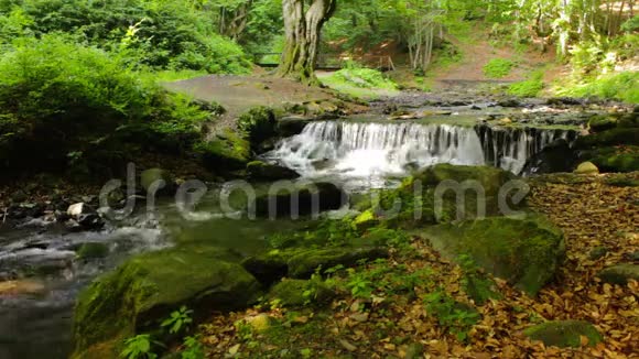 美丽的瀑布从一条森林河里出来视频的预览图