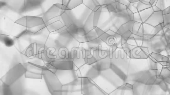 极端特写旋转美丽的不寻常的气泡气泡纹理抽象视频的预览图