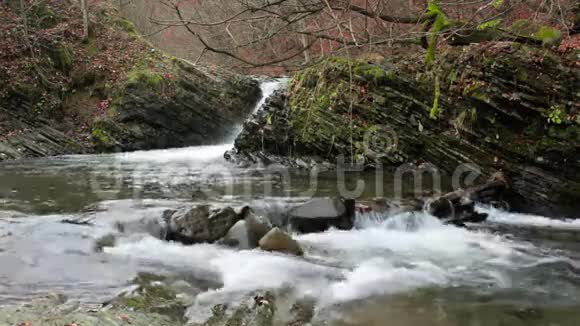 美丽的瀑布从一条森林河里出来视频的预览图