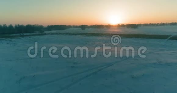 无人驾驶飞机观看寒冷的冬季景观北极的田野覆盖着霜雪的树木和清晨的阳光视频的预览图