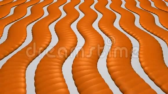 波浪橙色条纹西恩视频的预览图