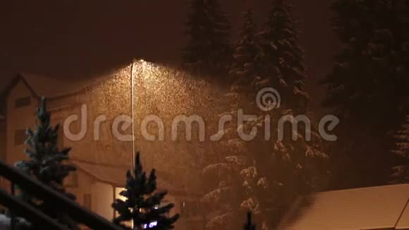 晚上在灯柱的背景下下雪视频的预览图