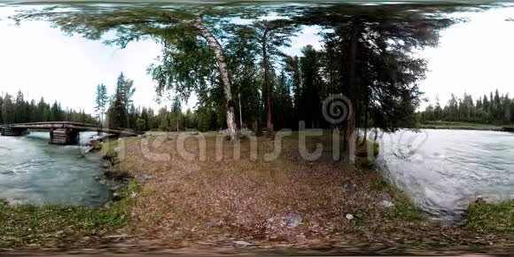 360一片野生森林的VR虚拟现实松林小快寒山河国家公园视频的预览图