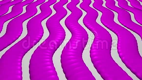 维文紫色条纹西恩视频的预览图