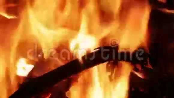 森林里的篝火之夜还有炽热的煤视频的预览图