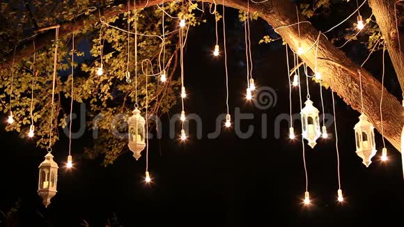 装饰古董爱迪生风格的灯丝灯泡挂在树林里玻璃灯笼灯装饰花园在视频的预览图