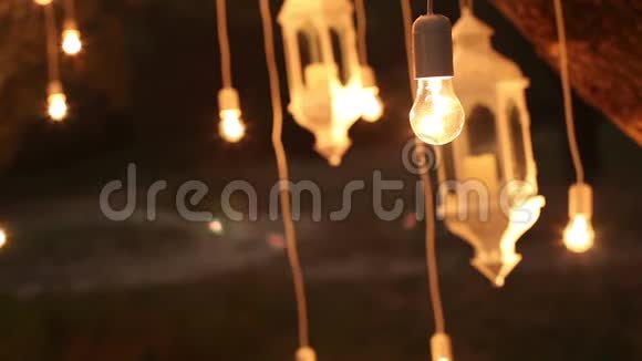 装饰古董爱迪生风格的灯丝灯泡挂在树林里玻璃灯笼灯装饰花园在视频的预览图