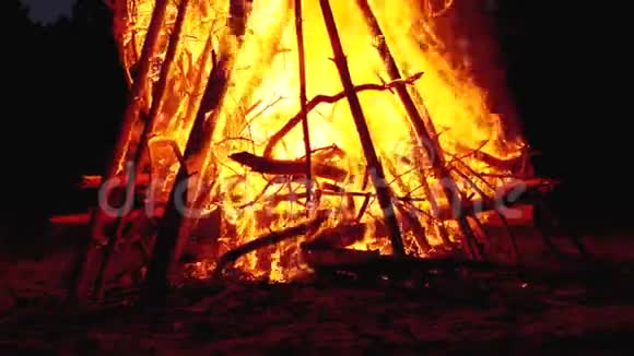 森林中的大篝火在夜晚燃烧视频的预览图