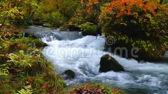 秋天在日本青森县观赏濑山溪美景视频的预览图