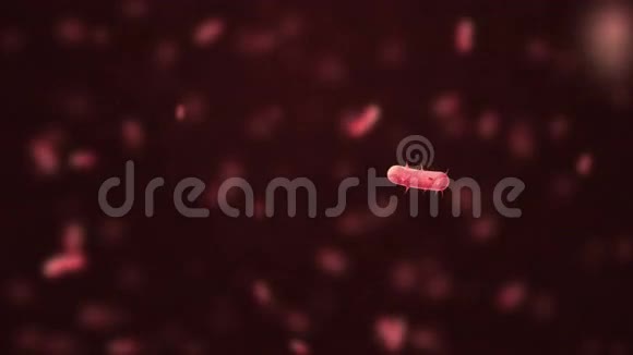红色微生物漂浮在红色空间中视频的预览图