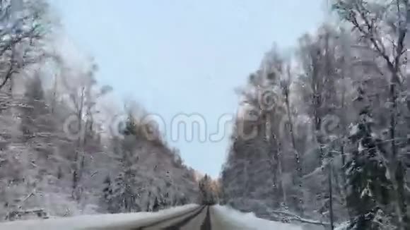 车辆行驶冬季雪林路时从车载摄像头的正面观看视频的预览图