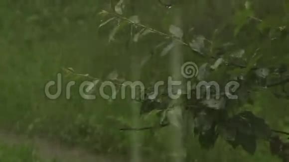 雨下得很大雨滴视频的预览图