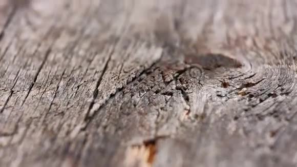 旧木板复古背景视频的预览图