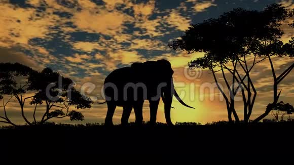 大象站在草原上四处张望视频的预览图