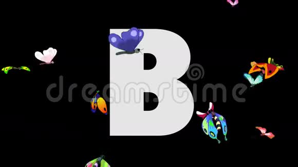 字母B和蝴蝶前景视频的预览图