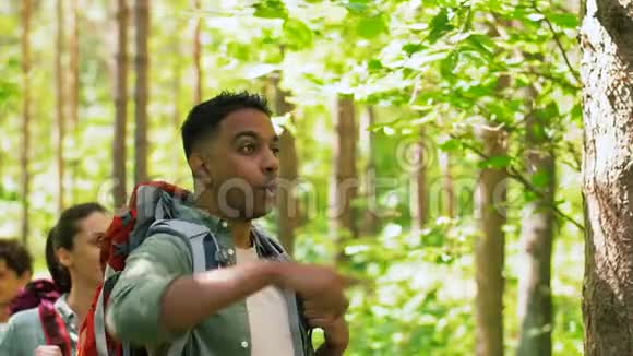 带背包的朋友在森林里徒步旅行视频的预览图