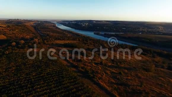 一排排排的葡萄园和多瑙河视频的预览图
