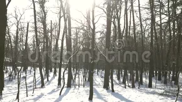大自然在冬天白天视频的预览图