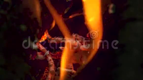 明亮燃烧的木头视频的预览图