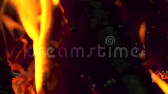明亮燃烧的木头视频的预览图