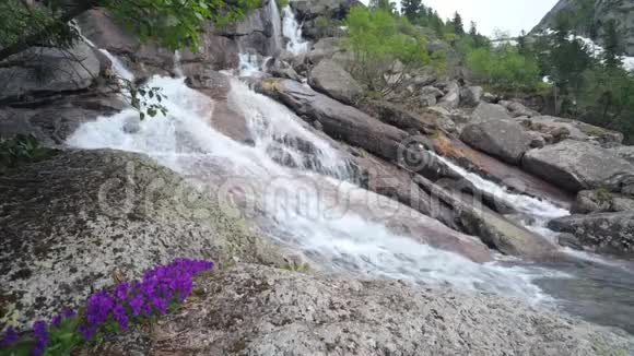 高山瀑布有山瀑布和纯山河的美丽景观视频的预览图