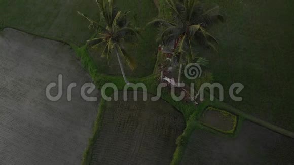日落时雨林丛林景观的4K空中飞行视频4K无人机镜头没有编辑巴厘岛视频的预览图