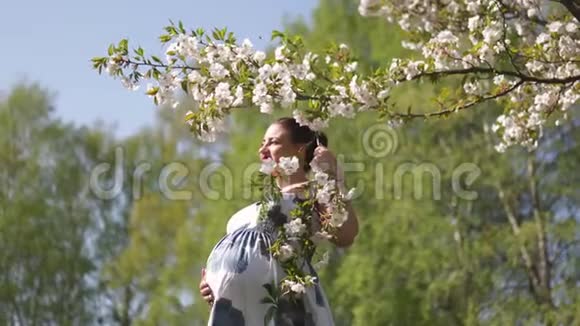 年轻的旅行者孕妇在公园里享受闲暇时光樱花盛开穿着樱花树视频的预览图