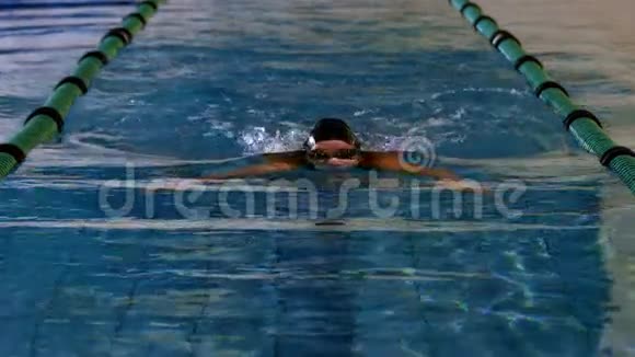 适合女性游泳运动员在游泳池中进行蛙泳视频的预览图